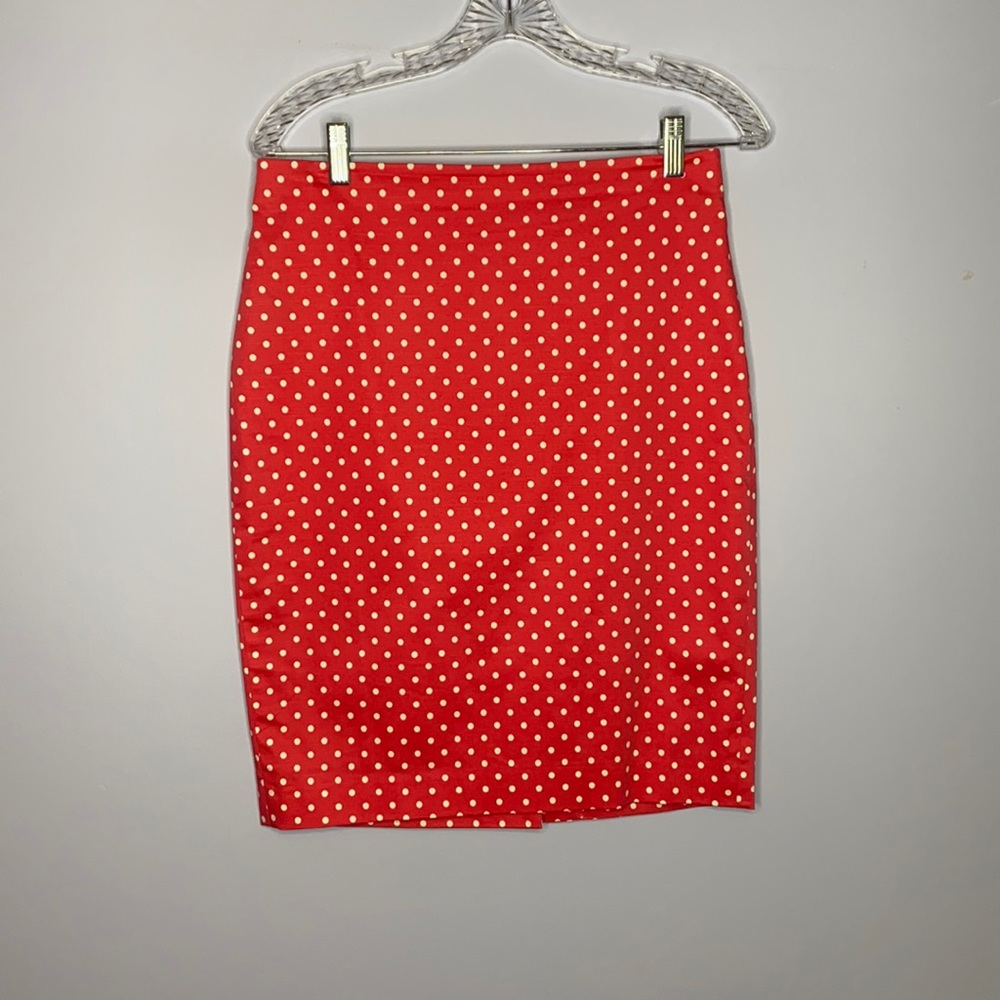 Ann Taylor Polka Dot Skirt